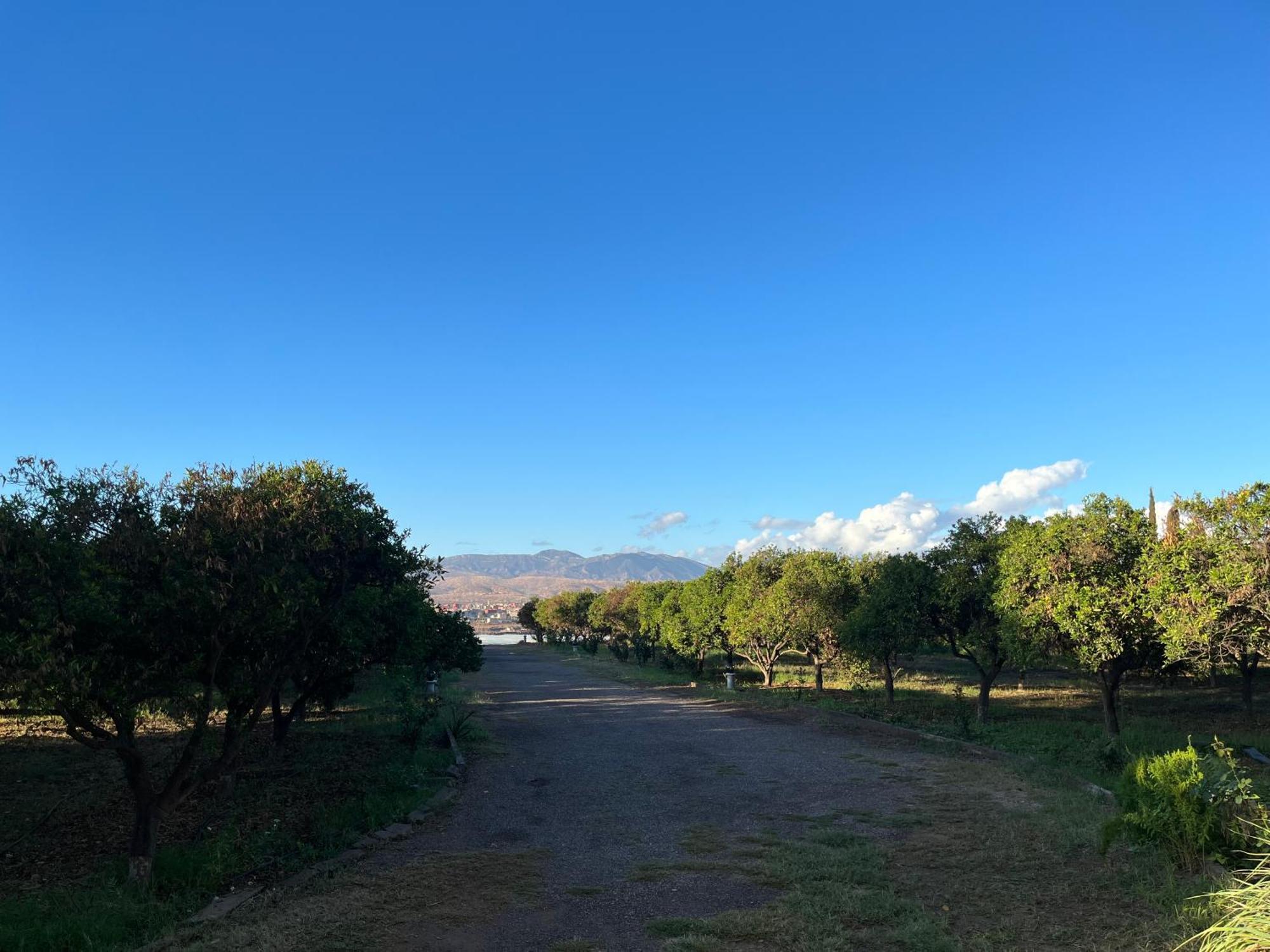 Tiguimi Vacances - Oasis Villas, Cadre Naturel Et Vue Montagne Agadir Exterior foto